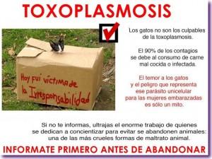 Toxoplasmosis toxoplasmosis