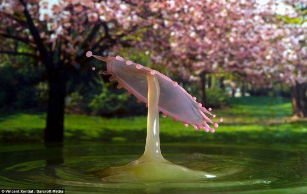 Gotas de agua con mucho significado Gotas de agua con mucho significado