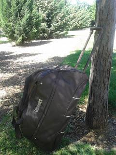 MODA CORONEL TAPIOCCA MODA CORONEL TAPIOCCA