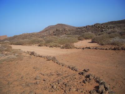 ESCAPADA A LA ISLA DE LOBOS