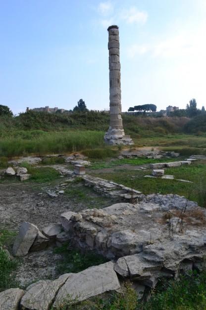 Restos del Templo de Artemisa, en Efeso