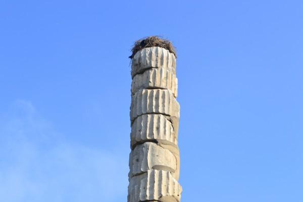 Las Siete Maravillas del Mundo Antiguo El Templo de Artemisa supo ver mejores tiempos...