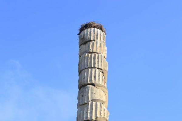 El Templo de Artemisa supo ver mejores tiempos...