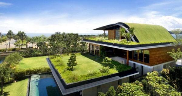 Arquitectura sostenible: Techos verdes para reducir el ruido techo verde 660x350 Arquitectura sostenible: Techos verdes para reducir el ruido