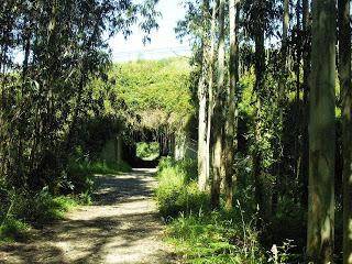 Progresos y desnivel Progresos y desnivel