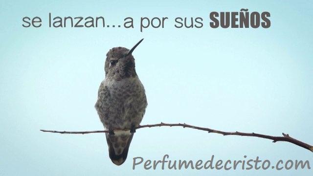 A MIS HIJOS 439354132_640