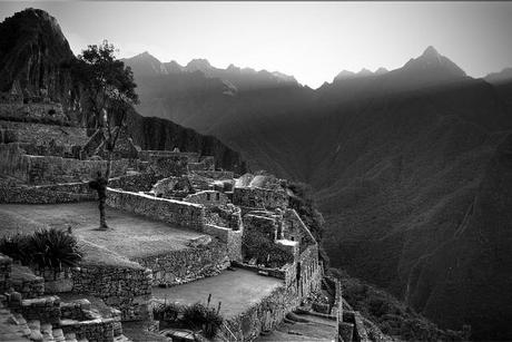 ARTEMISA (V) ARTEMISA (V)