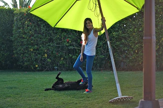 Summer is the Ice-Cream Season :) Summer is the Ice-Cream Season :)