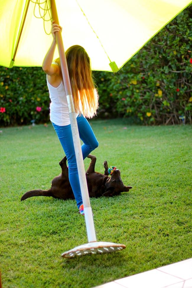 Summer is the Ice-Cream Season :) Summer is the Ice-Cream Season :)