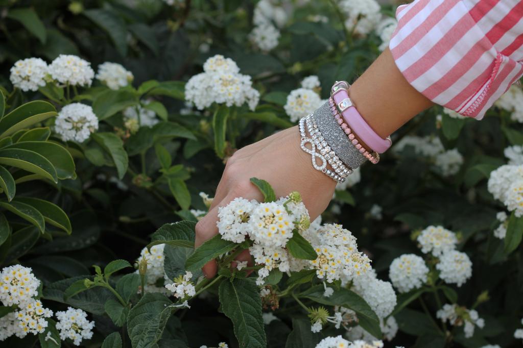 Red Stripes! photo 6-1583.jpg