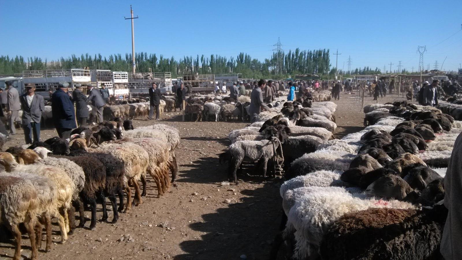 Viaje a Xinjiang: la Ruta de la Seda china