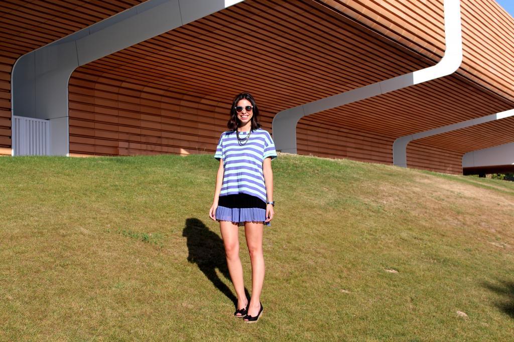 Purple Stripes! photo IMG_0279_zpsd100babd.jpg