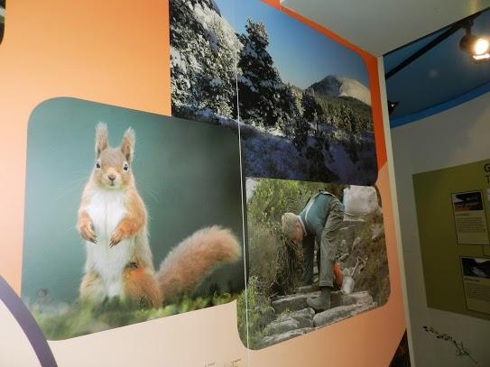 Parque Nacional de Cairngorms y su fauna Parque Nacional de Cairngorms y su fauna