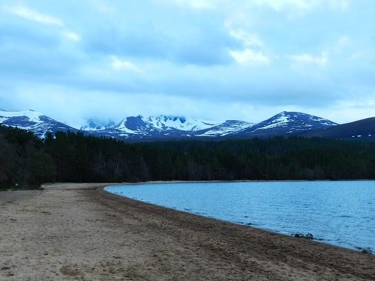 Parque Nacional de Cairngorms y su fauna Parque Nacional de Cairngorms y su fauna