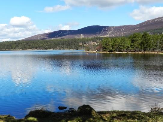 Parque Nacional de Cairngorms y su fauna Parque Nacional de Cairngorms y su fauna