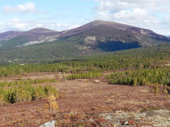 Parque Nacional de Cairngorms y su fauna Parque Nacional de Cairngorms y su fauna