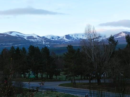 Parque Nacional de Cairngorms y su fauna Parque Nacional de Cairngorms y su fauna