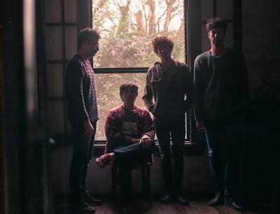 Into the tree Into the tree