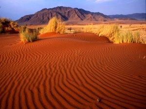 Destinos y rutas de viajes para este año Desierto del Namib. visto aquí httpwww.rinconabstracto.com201104conozca-los-17-lugares-mas-alienigenas.html