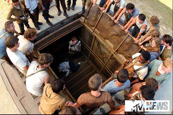 Noticias!!! The Maze Runner Movie