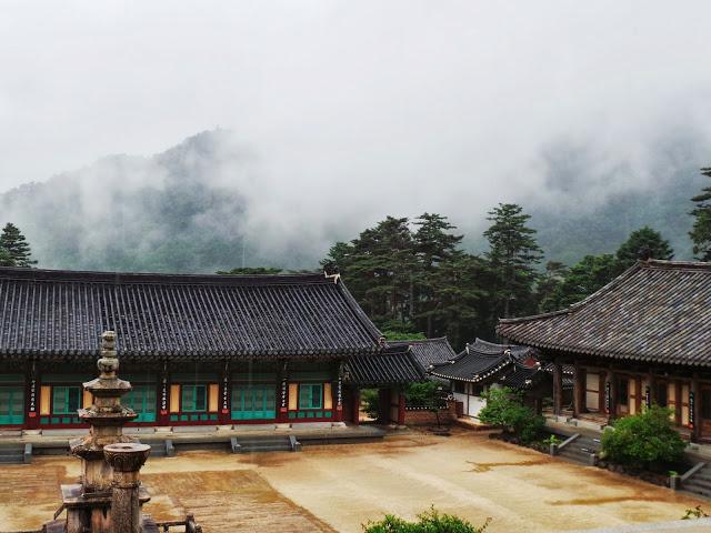 Sensaciones al regreso de Corea Sensaciones al regreso de Corea