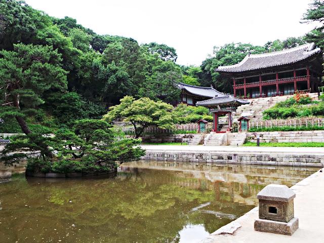 Sensaciones al regreso de Corea Sensaciones al regreso de Corea