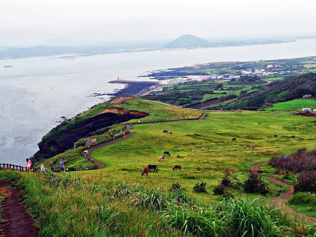 Sensaciones al regreso de Corea Sensaciones al regreso de Corea