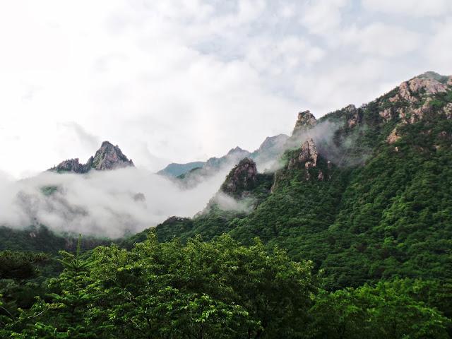 Sensaciones al regreso de Corea Sensaciones al regreso de Corea