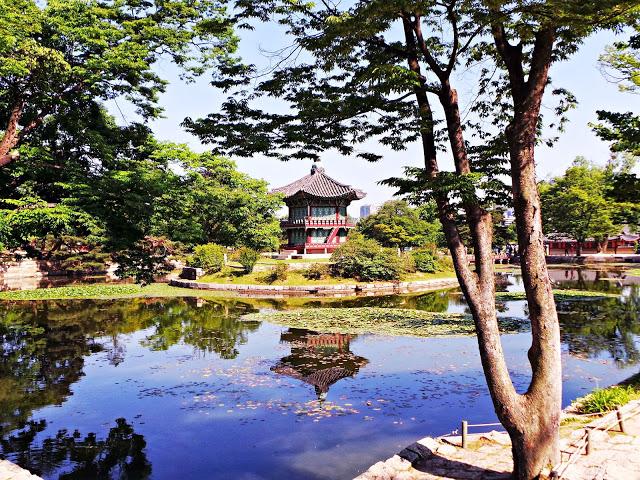 Sensaciones al regreso de Corea Sensaciones al regreso de Corea