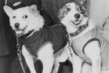 Belka y Strelka, unas perras de ida y vuelta Belka y Strelka, unas perras de ida y vuelta