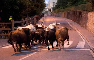 ¡¡¡Viva San Fermin!!! ¡¡¡Viva San Fermin!!!