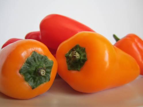 Canal Cocina busca a los mejores blogueros cocineros Haz clic para visitar la entrada original