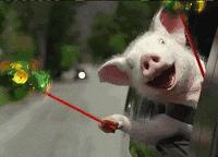 ¡¡¡¡¡¡¡100 SEGUIDOREEEEEEEEESSS!!!!!! ¡¡¡¡¡¡¡100 SEGUIDOREEEEEEEEESSS!!!!!!