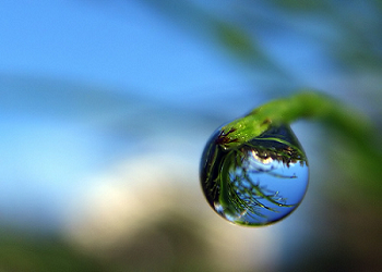 Gota a gota de agua.