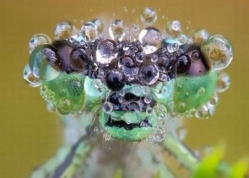 Gota a gota de agua.