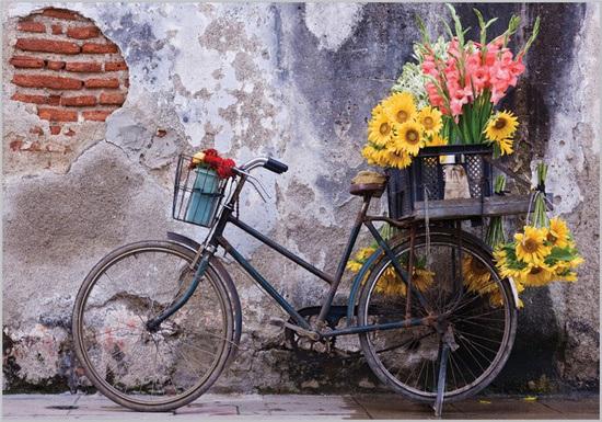 Bicicletas para todos los gustos bici_16