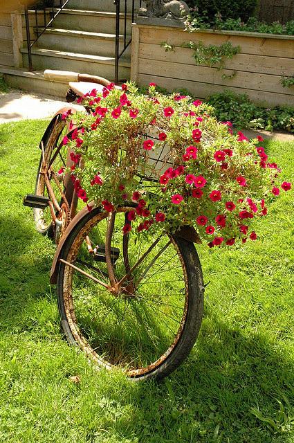 Bicicletas para todos los gustos bici_10