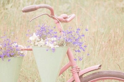 Bicicletas para todos los gustos bici_11