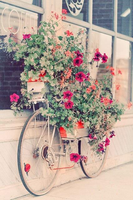 Bicicletas para todos los gustos bici_17