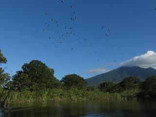 Ometepe (Nicaragua) - Vaya regalo nica! Ometepe (Nicaragua) - Vaya regalo nica!