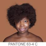 Humanæ: el color de la pseudo-diversidad Humanæ: el color de la pseudo-diversidad