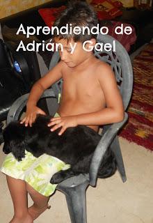 Os presento a Bambú Os presento a Bambú