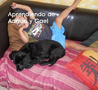 Os presento a Bambú Os presento a Bambú