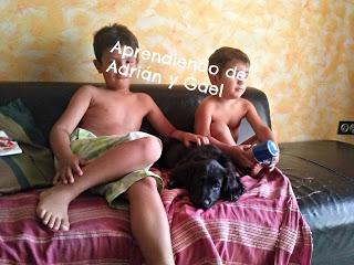 Os presento a Bambú Os presento a Bambú