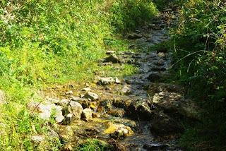 Bosque de Moal: en los confines de Muniellos