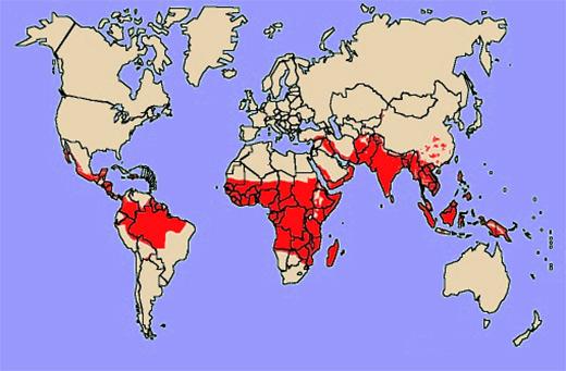 Mapa-malaria Los mosquitos en el viaje