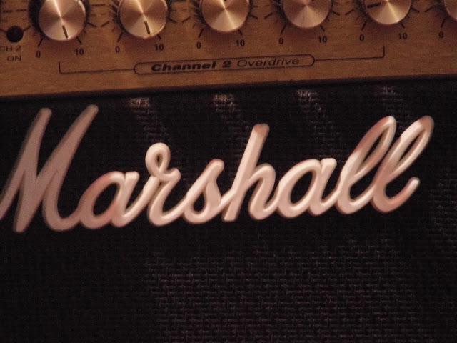 A new friend A new friend