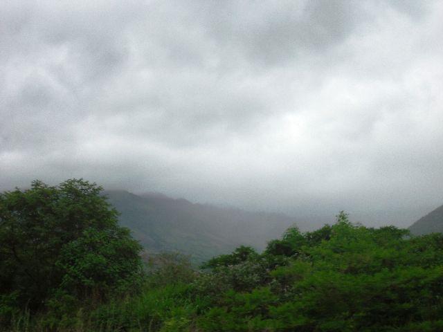 ¡Entre los cafetales de Jinotega! Primera parte ¡Entre los cafetales de Jinotega! Primera parte