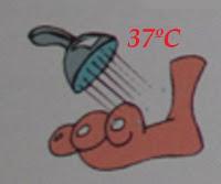 El cuidado de los pies con afectación vascular y/o neuropática El cuidado de los pies con afectación vascular y/o neuropática