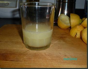 tarta de limon sin horno4 copia tarta de limon sin horno4 copia